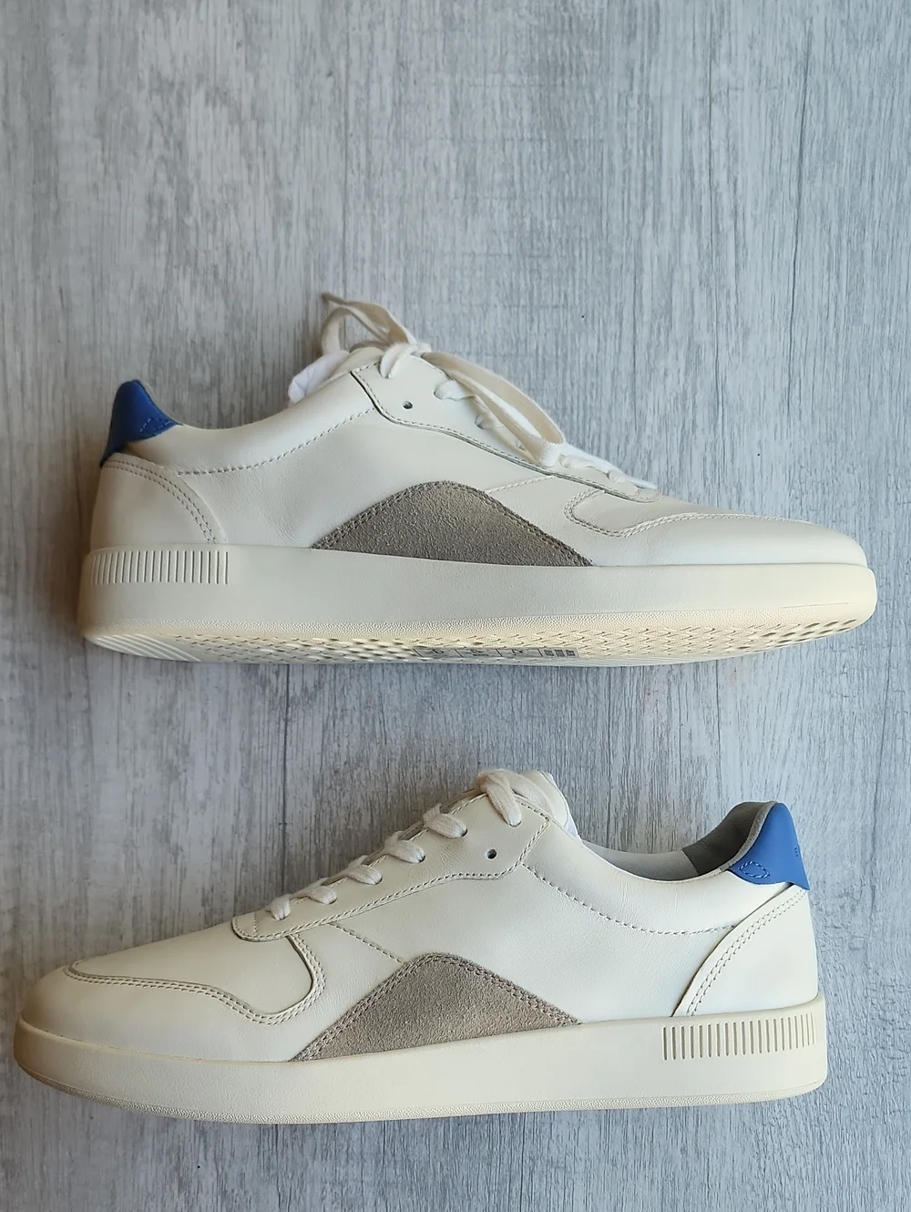Everlane The Court Sneaker Nwot